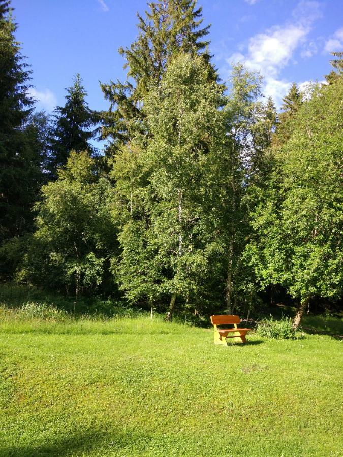 Black Forest Bollenhut Deluxe Lenzkirch Exteriér fotografie